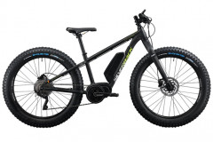 E-Fatbikes