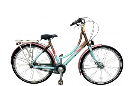 Woman's bicycle Batavus Blockbuster 28" 51
