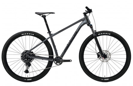Merida BIG NINE 200 29"/L/Gray