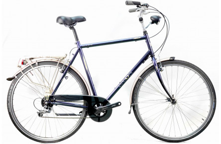 Hybrid Man`s bike Union Tracking  Goldrun