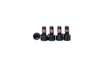Bafang tandwiel inbusbout M5x10 (set 5 stuks)