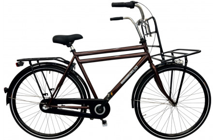Man's bicycle Sparta Pick UP bronze/m/al/28/tr