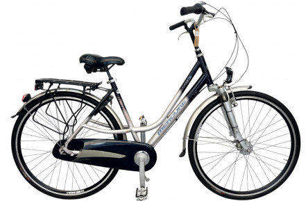 Women's bicycle Mercury Limited Edition 28" 50 gray-blue