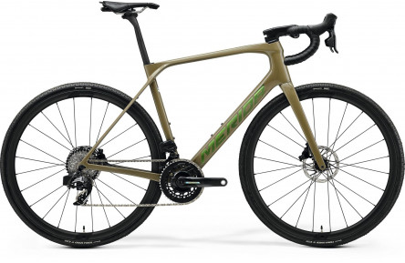 Merida SCULTURA ENDURANCE GR 8000 OAK BORK/GREEN S