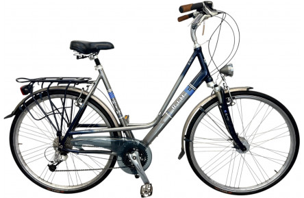 Woman's bicycle RIH Z-800 28"/58cm/gray