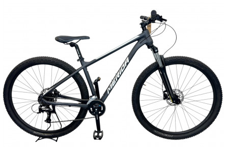 Merida BIG NINE 20 29"/M/Silver