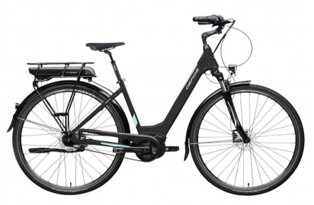 Reptila 1000 Nexus 7/300Wh/28"/D49/zwart